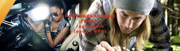 Альфа ПВП Вязники