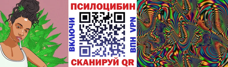 Галлюциногенные грибы Magic Shrooms  Купить закладки  Байкальск 